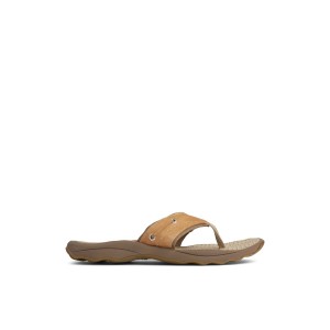 Beige Sperry Outer Banks Flip Flop | WQJUPMO-35