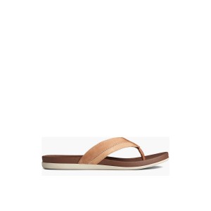 Beige Sperry PLUSHWAVE Thong Sandal | QEYSIGU-30