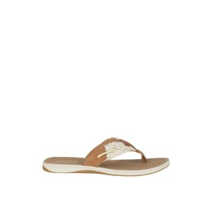 Beige Sperry Parrotfish Sandal | LCQPOTN-96