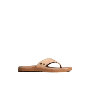 Beige Sperry Santa Cruz II Thong Sandal | WTRQAXC-71