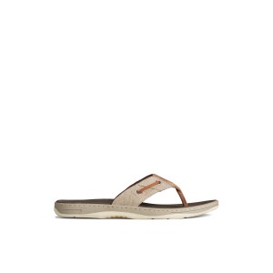 Beige Sperry SeaCycled Baitfish Baja Flip Flop | IFRNHKU-26