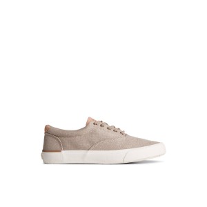 Beige Sperry SeaCycled Striper II CVO Baja Sneaker | XCLGHVW-60