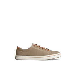 Beige Sperry Striper II Linen LTT Sneaker | FYVPODS-45