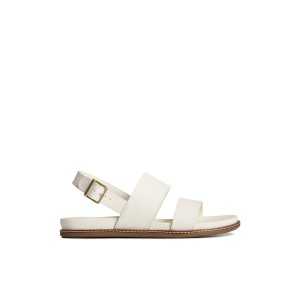 Beige Sperry Waveside PLUSHWAVE Backstrap Sandal | EAOVSFN-76