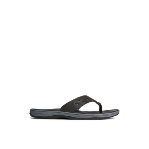 Black Sperry Baitfish Leather Flip Flop | GQPVBSX-02