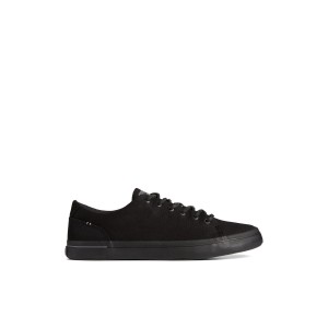 Black Sperry SeaCycled Striper II Textile Sneaker | QXPBLIR-42