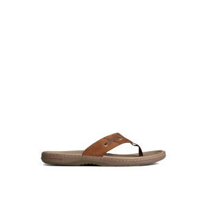 Brown Sperry Baitfish Leather Flip Flop | UDOLHAB-41