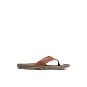 Brown Sperry Havasu Perf Flip Flop | KICNLWM-18