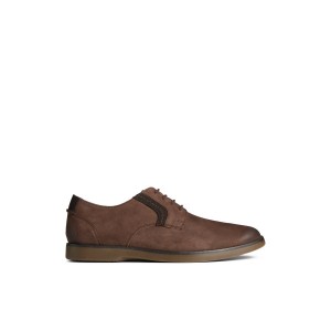 Brown Sperry Newman Oxford Dress Shoe | EHPYRXB-83