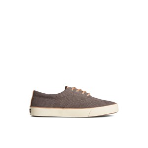 Brown Sperry Striper II Washed Canvas CVO Sneaker | KNHCBXO-91