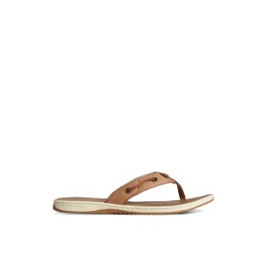 Dark Beige Sperry Seafish Leather Flip Flop | HZBSNQX-74