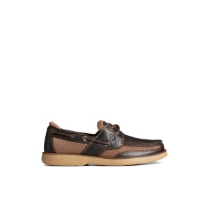 Dark Brown Sperry Surveyor 2-Eye Boat Shoe | HIQMWXN-15