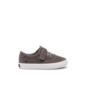 Grey Sperry Spinnaker Junior Washable Sneaker | FRTPJXG-93