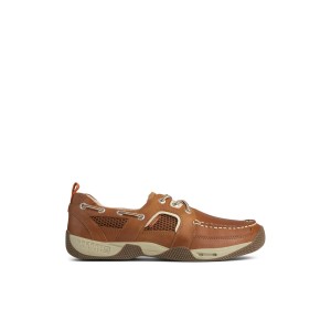 Light Brown Sperry Sea Kite Sport Moc Boat Shoe | ZIXUQFR-68