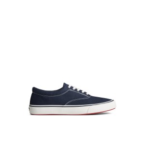 Navy Sperry Striper II Canvas CVO Sneaker | AJNGCTK-58