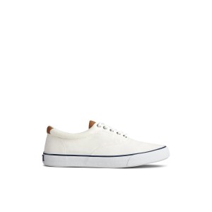 White Sperry Striper II CVO Sneaker | YSWMNPF-10