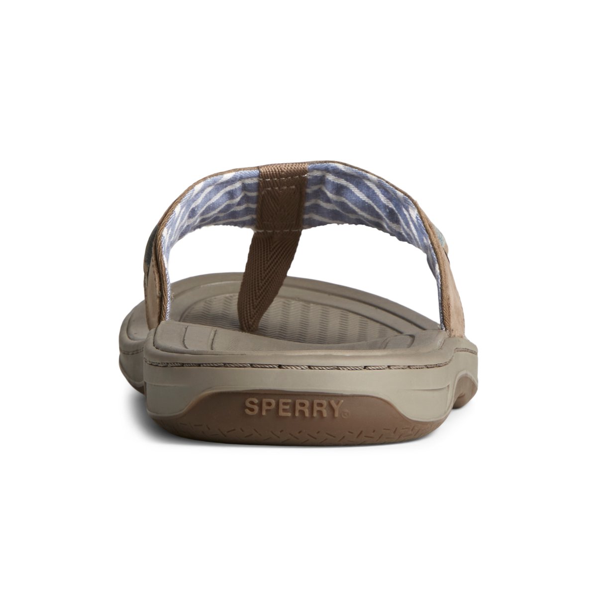 Beige Sperry Baitfish Leather Flip Flop | KNDYVBT-85