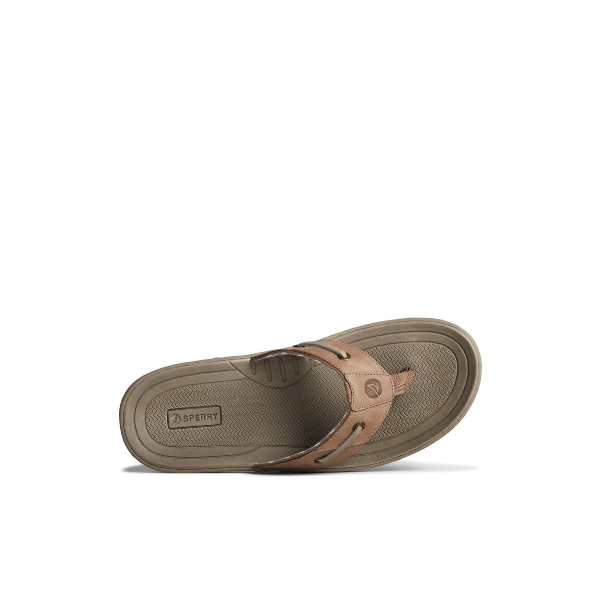 Beige Sperry Baitfish Leather Flip Flop | KNDYVBT-85