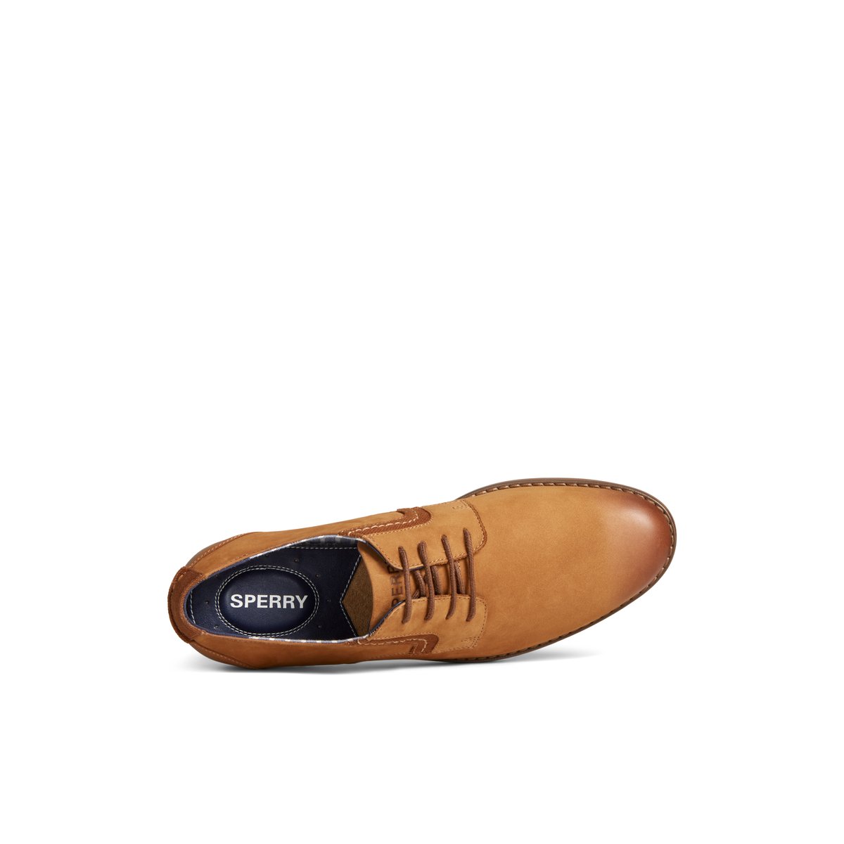 Beige Sperry Newman Oxford Dress Shoe | YEICSKV-40