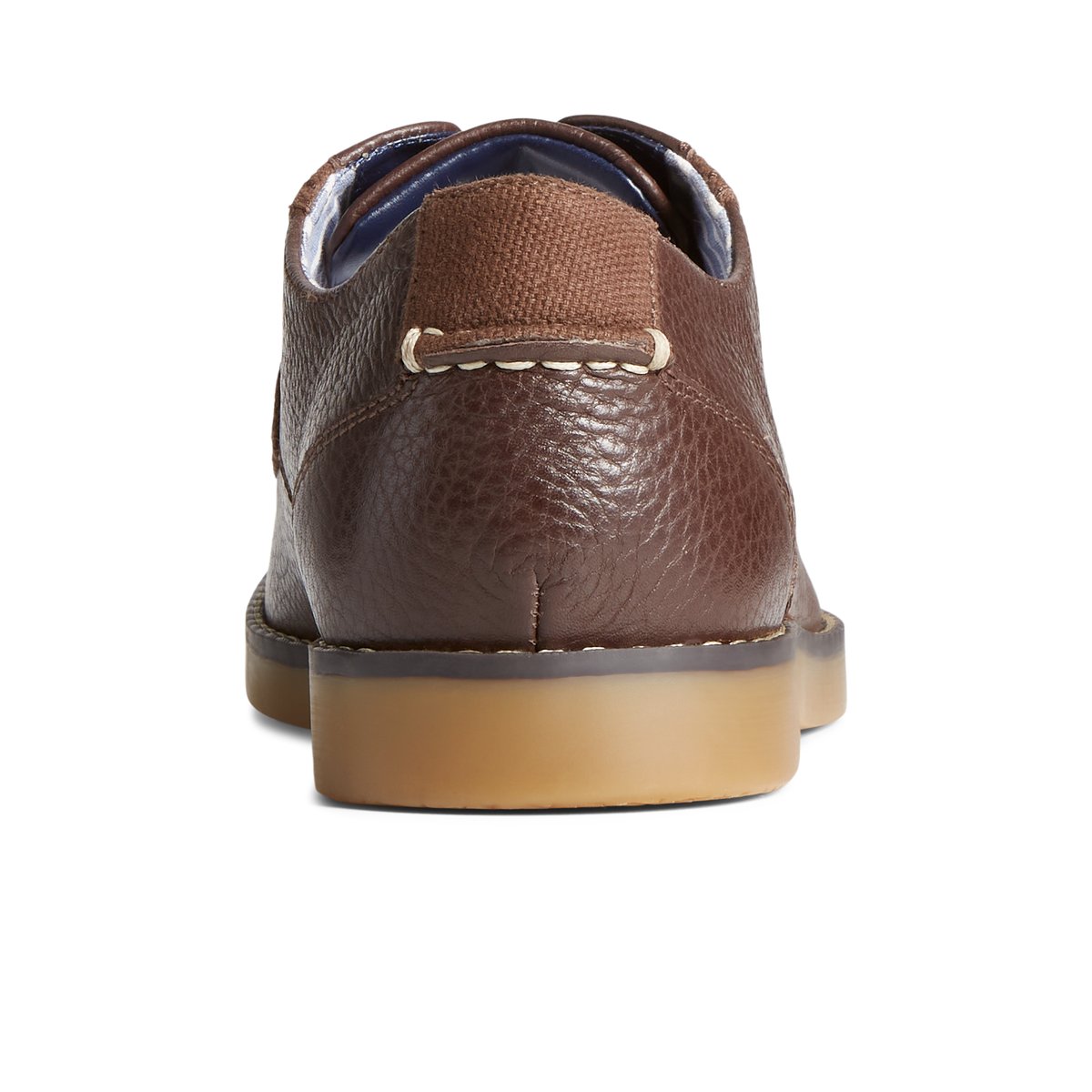 Brown Sperry Newman Oxford Dress Shoe | JILVTYM-25