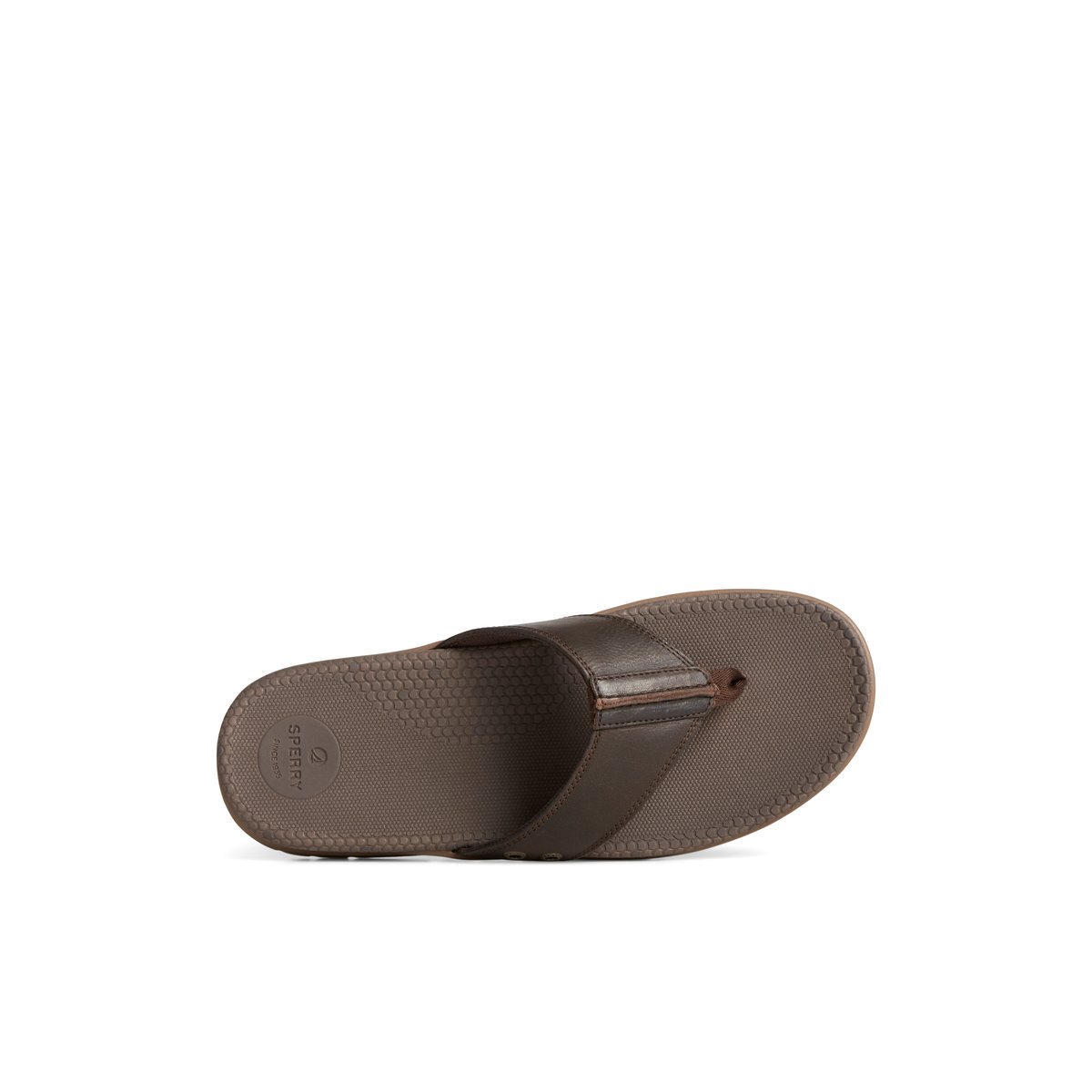 Brown Sperry Santa Cruz II Thong Sandal | BSLEDAW-70