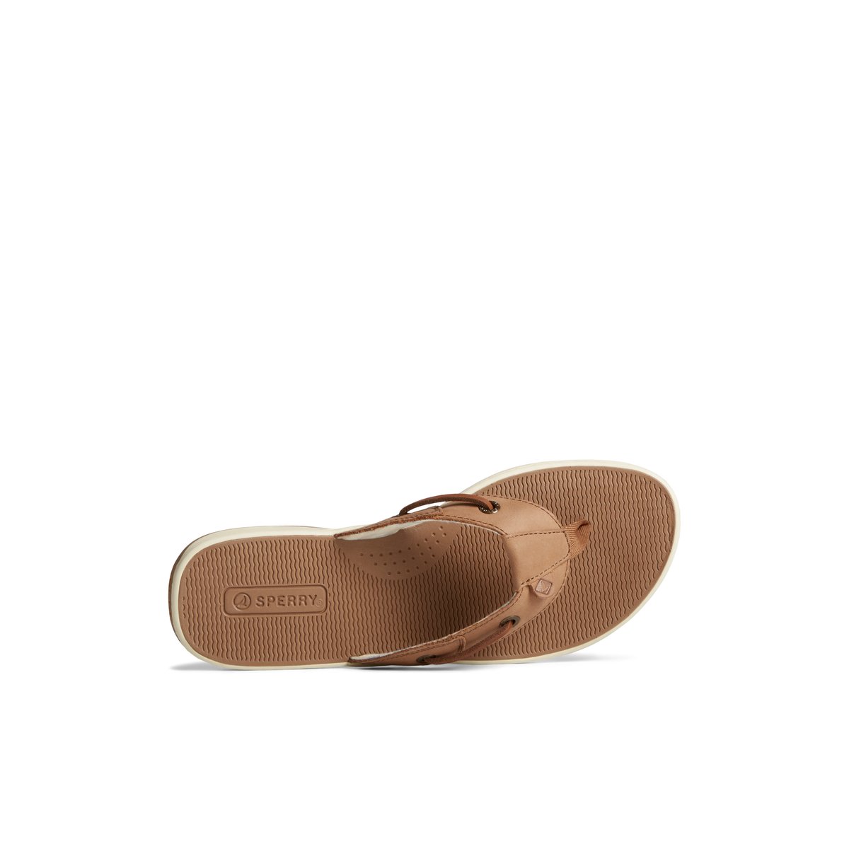 Dark Beige Sperry Seafish Leather Flip Flop | HZBSNQX-74